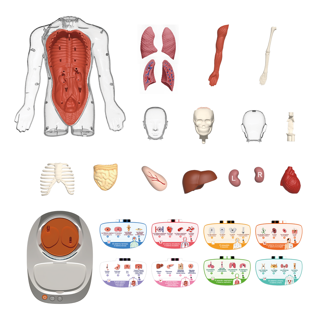 Cuerpo Humano: Vozpedia Interactiva - So Science - COS005 - CanalToys