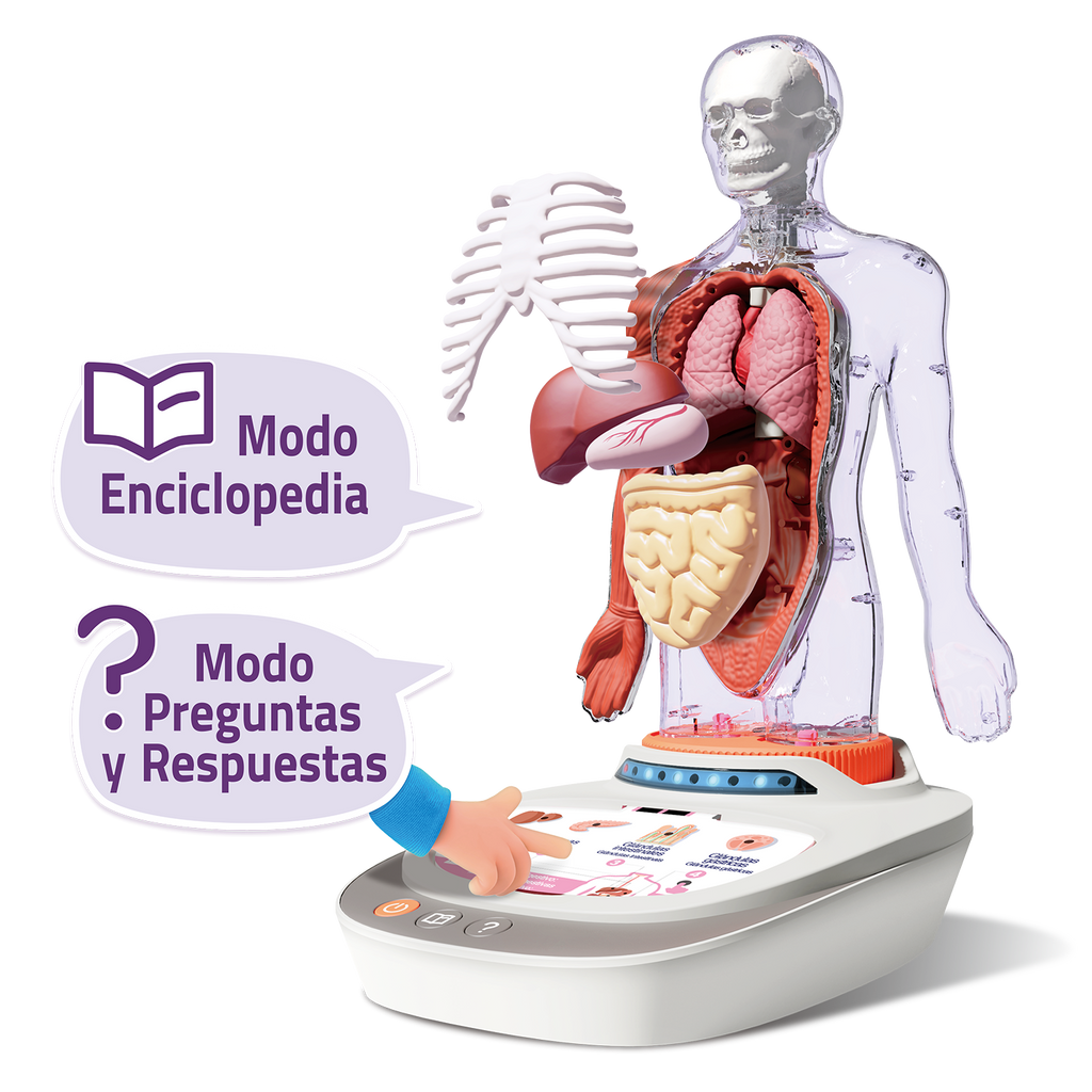 Cuerpo Humano: Vozpedia Interactiva - So Science - COS005 - CanalToys