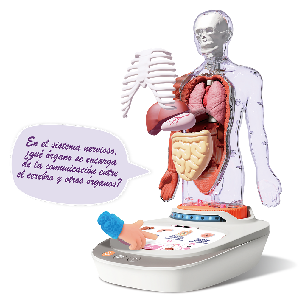 Cuerpo Humano: Vozpedia Interactiva - So Science - COS005 - CanalToys
