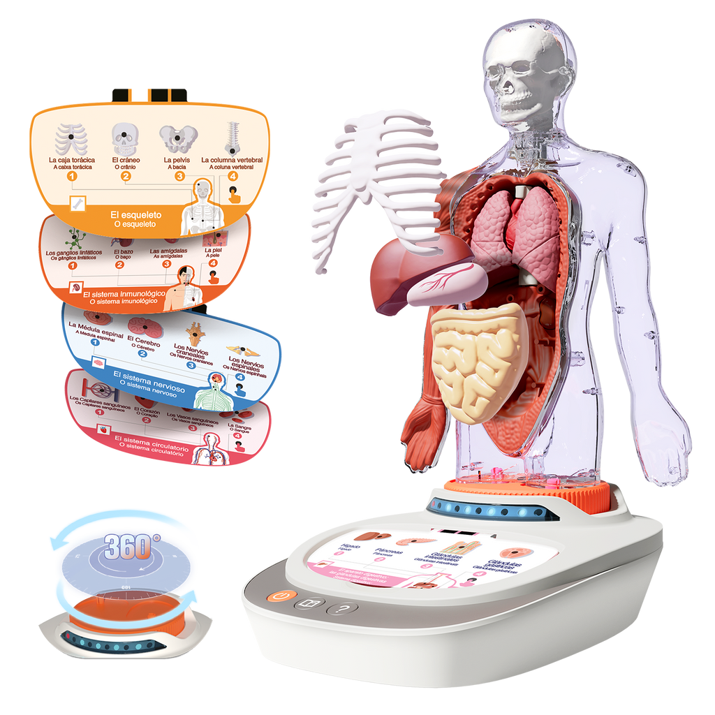 Cuerpo Humano: Vozpedia Interactiva - So Science - COS005 - CanalToys