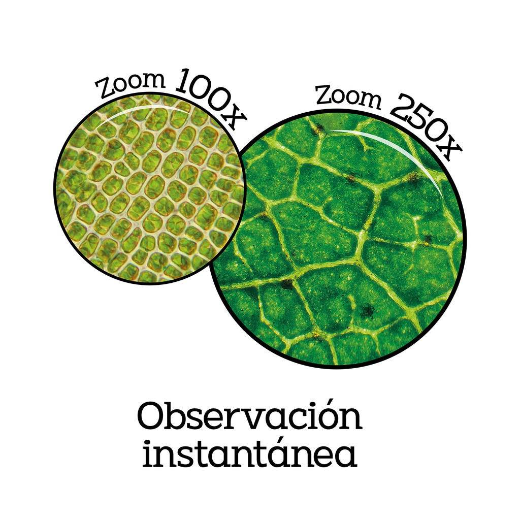 Microscopio Portátil - So Science - COS001 - CanalToys